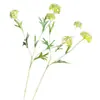 Plantas Verdes de Nicho, Fruto de Rícino, Bolas de Neve Mini de Plástico, Grãos de Arroz, Buquês Estilo Floresta Nórdica, Fruto de Rícino Artificial, Adereços de Fotografia