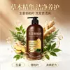 Shampoo Personalizado de Gengibre e Folha de Cipreste Suco de Gengibre Shampoo Condicionador Anti-coceira Controle de Oleosidade Cuidado com o Cabelo Shampoo para Suavizar
