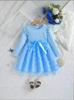 Comercio Exterior Hecho a Medida Vestido de Encaje con Flores de Manga Larga Estilo Coreano para Niñas Otoño e Invierno Vestido Falda para Niños Otoño e Invierno 2026