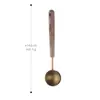 Cuchara para Helado de Acero Inoxidable 304, Pala para Helado, Herramienta Medidora de Cocina para Hornear, Cuchara para Café, Cuchara Medidora para Hornear