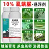 Pesticida Insecticida 10% Lufenurón, Amplia Gama de Insecticidas para Ácaros de la Pared Roja, Producto Genuino Directo del Fabricante