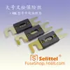 Fusible de perno de horquilla grande ANL, fusible de perno, montacargas, coche eléctrico, fusible 20A-500A