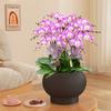 Novo Estilo Chinês Grande Calibre Phalaenopsis Vaso de Flores Especial Cesta Azevinho Balde Dourado Balde de Suporte Decoração de Interiores Ornamentos