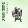 Máquina Hidráulica Prensadora de Óleo de Abacate, Máquina Prensadora de Óleo de Gergelim, Noz, Amêndoa Tipo Vertical, Máquina Hidráulica Vertical Totalmente Automática de Óleo de Gergelim