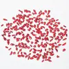 Fondo plano Super Flash Rojo de Año Nuevo Forma Especial Diamante para Uñas Vidrio Rhinestone Mixto Mini Corazón Broca para Uñas al por Mayor
