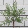Simulación de planta verde de una sola rama Nantianzhu, decoración de suelo para el hogar, sala de estar, adornos de simulación de rama de árbol de flores, accesorios de plantas de paisaje