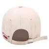 Gorra de béisbol suave de estilo coreano, combinable con todo, bordado lateral con letras, color liso, moda callejera hipster para hombres y mujeres