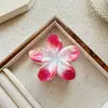 Pinza de Tiburón para Agarrar el Cabello con Flor de Huevo Degradada Dulce para Mujer, Estampado de Flor de Bauhinia, Moda para Vacaciones en la Playa, Accesorio para el Cabello Versátil