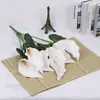 Flor artificial asa grande flor EV tacto gran cala lirio bonsái decoración paisajismo jardín boda flor suave arreglo floral hogar