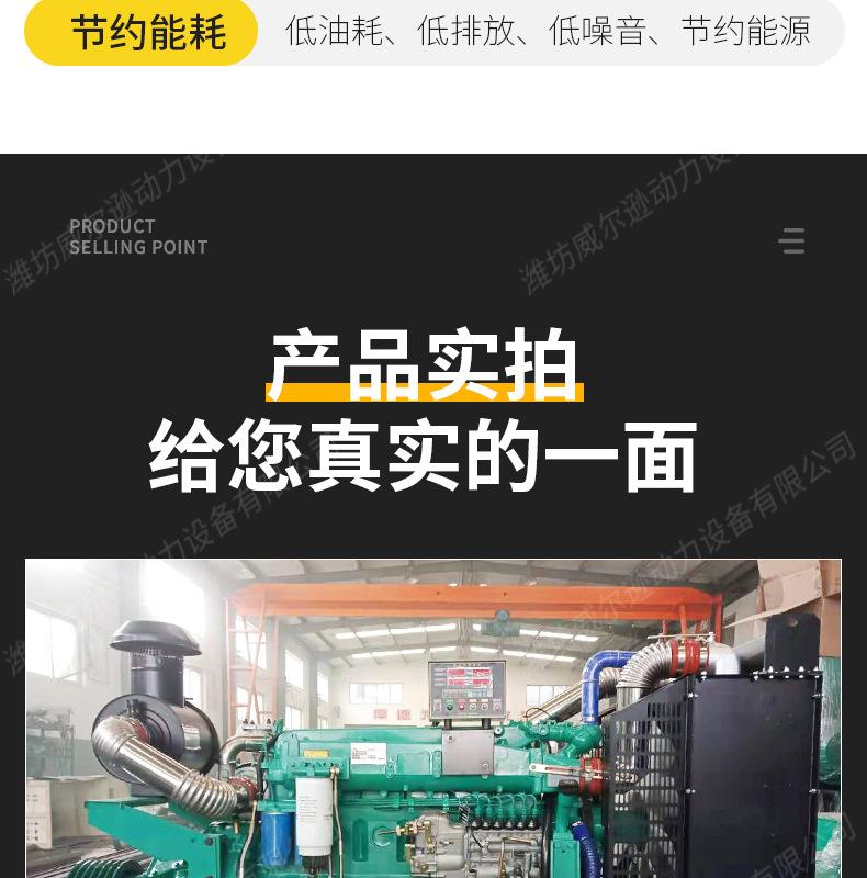 固定动力柴油机_11.jpg