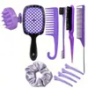 Cepillo para Lavar el Cabello Transfronterizo, Peine Masajeador, Peine de Dientes Separados Hueco, Peine de Tupé, Botella con Atomizador, Goma para el Cabello, Peine para Peinar el Cabello, Set de Herramientas de Estilismo