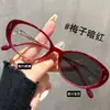 Nuevas Gafas de Moda Redondas Estilo Coreano de Alta Gama con Filtro Azul Montura Carey para Mujer Fotocromáticas Gafas de Sol Gafas sin Graduación al por Mayor