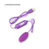 Vibrador doble de un solo salto con conversión de frecuencia USB, control remoto, doble vibración, carga directa, suministros de masturbación sexual para adultos al por mayor
