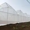 Proyecto de invernadero de película multiespacio, invernadero de ensamblaje sin soldadura, construcción rápida de estructura de acero, Invernadero Luyuan