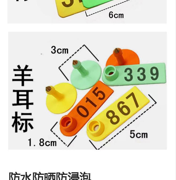 耳标_05.jpg