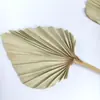 Ventilador Mini Amor Transfronteiriço Personalizado Ventilador de Palma Pequeno Folha Estilo Wabi-Sabi Decoração de Casa Casamento Flores Secas Naturais