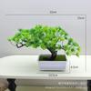 Simulação de Lote de Fábrica Planta Verde Pequena Beleza Pinheiro Penhasco Cipreste Folha de Bordo Pinheiro de Boas-Vindas Galhos e Folhas Vasos Paisagem Chinesa Acessórios de Paisagismo