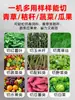Cortacésped, Cortador de Verduras, Rallador de Verduras de Acero Inoxidable, Picadora de Verduras para Alimentar Pollos, Molino de Alimentos, Máquina Trituradora para Ganadería
