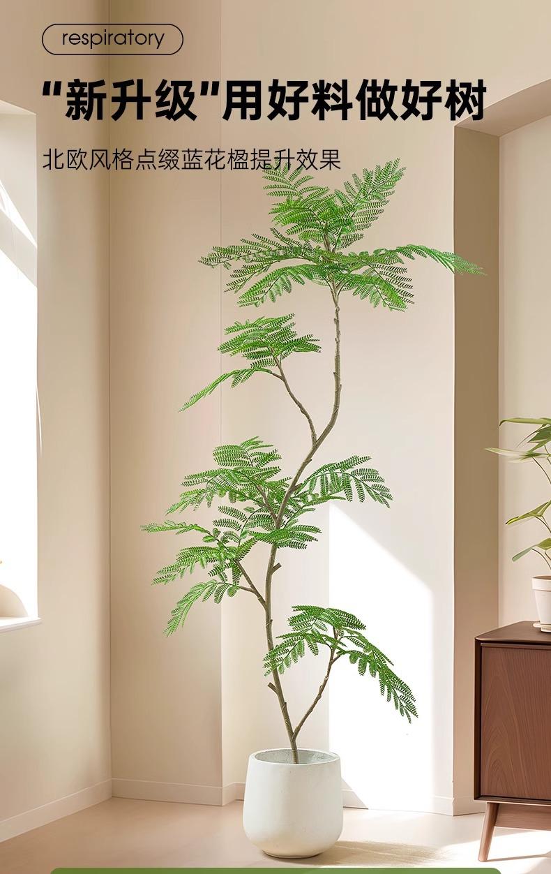 详情图片_01.jpg