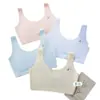 Preço Especial Liquidação Atacado Roupa Íntima Feminina para Alunas do Ensino Fundamental, Sutiã para Puberdade de Meninas Jovens, Sutiãs para Adolescentes