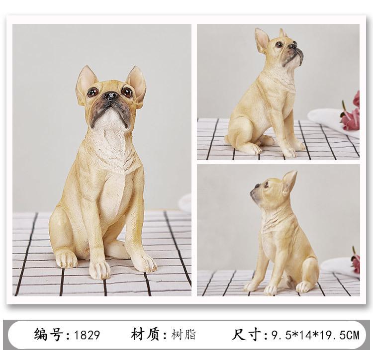 法国斗牛犬_11.jpg