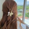 Monet Garden Super Fairy Butterfly Grab Clip Sweet All-match Hair Grab Japonês e Coreano Ácido Acético Shark Clip Clipe de Cabelo Acessórios para o Cabelo