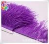 Suministros del Fabricante Recorte de Plumas de Avestruz, Recorte para Ropa de Plumas Importado de Sudáfrica, A partir de 00710m Piezas, Recorte Ancho de Encaje