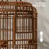 Jaula para pájaros de lujo grande, jaula de plástico portátil vintage para pavos reales, periquitos y cotorras