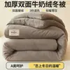 Colcha de veludo de leite de inverno, enchimento de colcha para primavera e outono, colcha de inverno espessa com adição de lã para aquecimento, adequada para dormitórios estudantis, enchimento de colcha de algodão, disponível para dropshipping