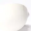 Prato Evaporador de Cerâmica Laboratório Químico Resistente a Altas Temperaturas 1200 Graus Porcelana Prato Yuan 50/60/75/100ml