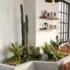 Decoração de Planta Artificial Durável de Alta Simulação Planta Verde Simulação Ornamentos de Planta Verde Cacto Cenário de Exibição de Janela Decoração
