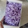 Hortensia Anna 20G/Caja Flor Inmortal Flor Eterna Caja de Regalo Material Floral Flor Seca Flor Preservada Material de Flor Inmortal