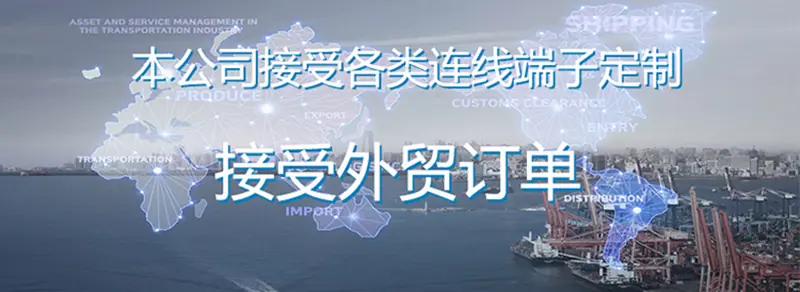 定制1111