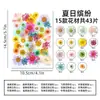 Marcapáginas de flores secas especímenes colección de primavera en botella de película plástica materiales hechos a mano para manualidades estudiantes de primaria flores transparentes