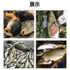 Isca de Pesca para Carpa, Carpa Crucian e Carpa Capim com Sabor de Batata Doce, Isca de Nidificação, Acessórios de Pesca, Ração para Peixes