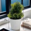 Plantas verdes de simulación superventas transfronterizas, flores creativas en maceta multicolor, muebles para el hogar, decoración de flores de simulación, mini bonsái de generación
