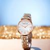 Reloj para mujer Bei Ya de la marca ZIDO, sencillo, moderno, dorado rosa, exquisito, informal, elegante, ligero, de lujo, luminoso, resistente al agua, con correa de acero.