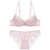 Conjunto de sujetador de encaje sexy transfronterizo europeo y americano para pechos pequeños para que parezcan más grandes, con efecto push-up, talla grande y soporte lateral para el pecho