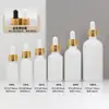 En Stock Botellas de Aceite Esencial Ámbar de 5 ml/10 ml/30 ml, Botellas Gotero, Botellas Transparentes a Prueba de Luz para Sérum, Botellas Dispensadoras de Vidrio