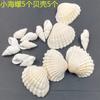 Garrafa de Desejos Criativa Atacado Garrafa de Vidro com Rolha Garrafa Oceânica Material para Fazer Micro Paisagem Ornamentos de Resina