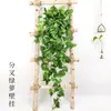 Potos Colgante de Pared para Sala de Estar Planta Verde Decoración de Pared con Plantas Colgantes Flor Artificial Colgante Enredadera Enredadera de Interior Planta Araña Cesta Colgante Tela