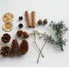 Kit de artesanato DIY de pinha de Natal, canela e rodelas de limão para criar uma atmosfera natalina com decorações de frutas secas