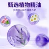 Parche Esencial para Dormir Bien, Parche para Dormir de Uso en Casa, Parche para Dormir al Lado de la Almohada, Parche de Moxibustión, Parche Esencial de Lavanda para Dormir Bien