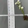 Tecido de Renda Rayon 3-7cm Bordado Perfurado Roupas Renda Lingerie Roupas Infantis Acessórios de Renda Pode Ser Tingido