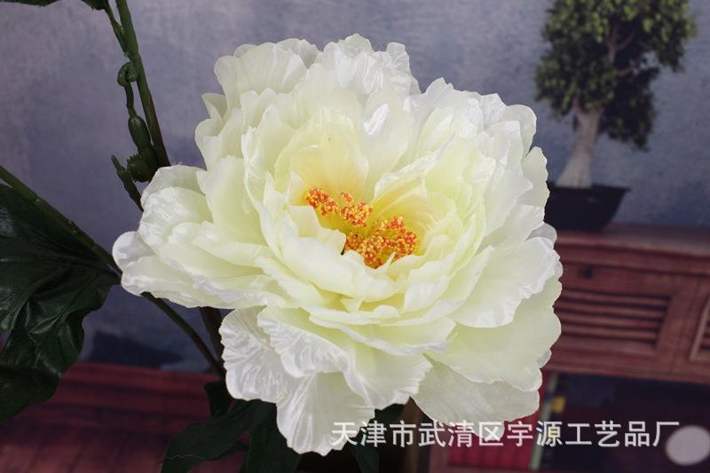 IMG_9459_副本.jpg