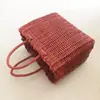 Bolso de mano, Bolso Tejido de Tubo Delgado de Plástico, Bolsa tipo Cesta de Verduras, Bolso de Mano Casual, Bolso Casual Retro para Vacaciones para Mujer, Bolso de Playa