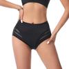 Ropa interior de mujer para comercio exterior transfronterizo, verano, seda de hielo, alta elasticidad, talle medio, talla grande, malla transpirable, sexy encaje, calzones de mujer