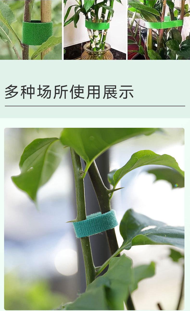 绿植魔术贴详情页_06.jpg