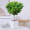 Dropshipping Perfume Flor de Milán Planta Verde en Maceta Planta de Flor de Interior Sala de Estar Balcón Planta de Floración de Cuatro Estaciones Jazmín