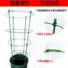 Soporte Retráctil de Tres Niveles para Plantas Trepadoras, para Rosas, Plantas de Pinza de Cangrejo y Cestas Verdes, Adecuado para Plantas Trepadoras de Balcón y Interiores